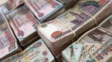 تغيرات في عوائد الشهادات الإسلامية عقب قرارات البنك المركزي المصري الأخيرة